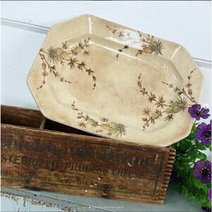 Antique 1885 Ridgeways Stoke-on-Trent Cenis Platter Crazed Stained Pineapple